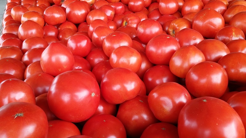 Плоды томатов полезные свойства.